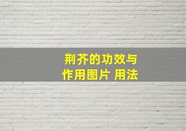 荆芥的功效与作用图片 用法